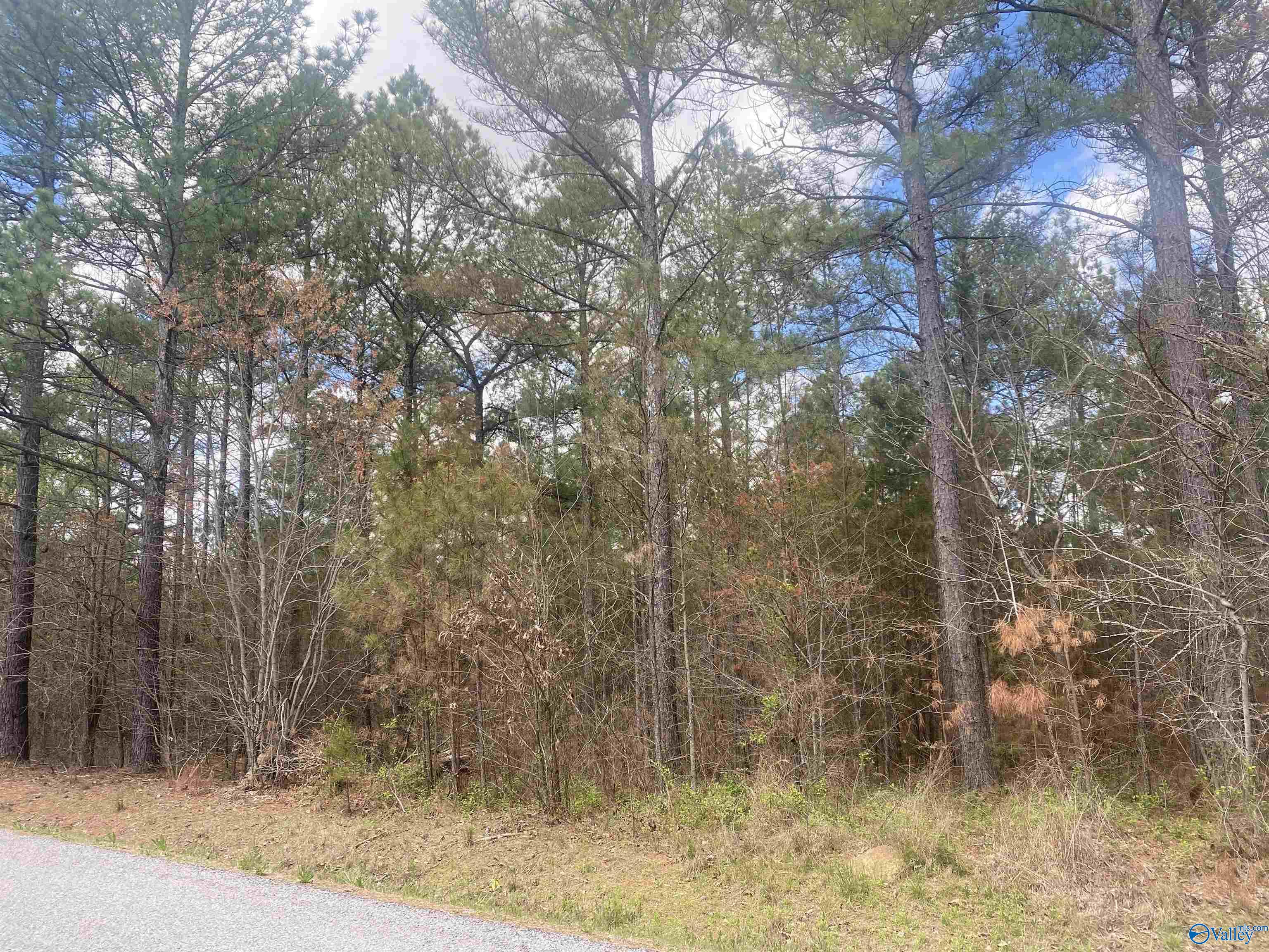 3.96 acres County Road 739