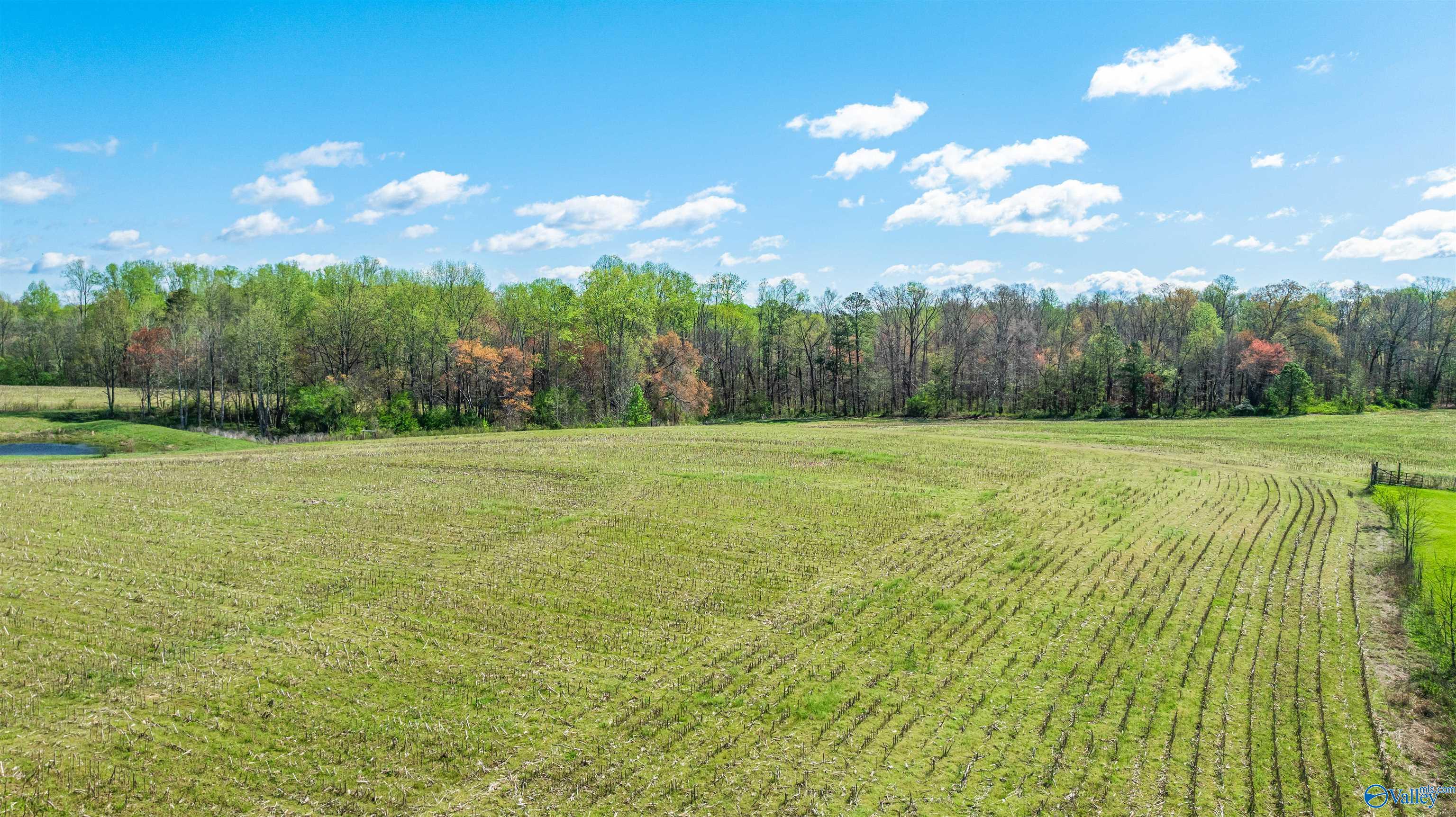 1010 County Road 57