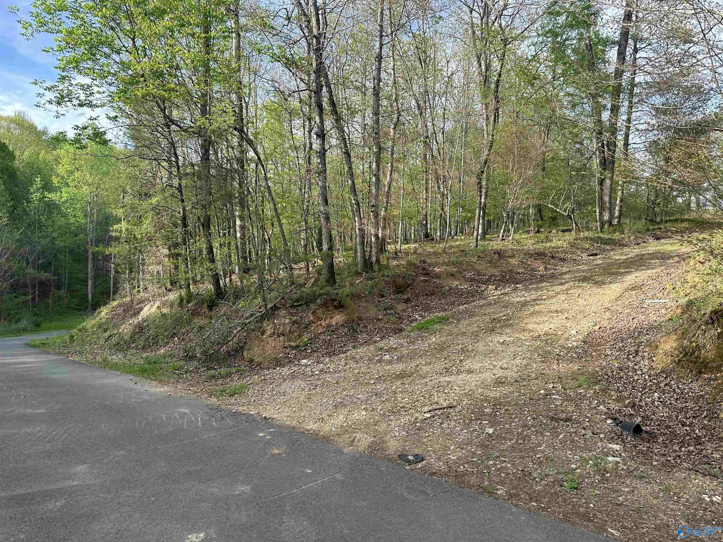 3 acres Hixon Road NW