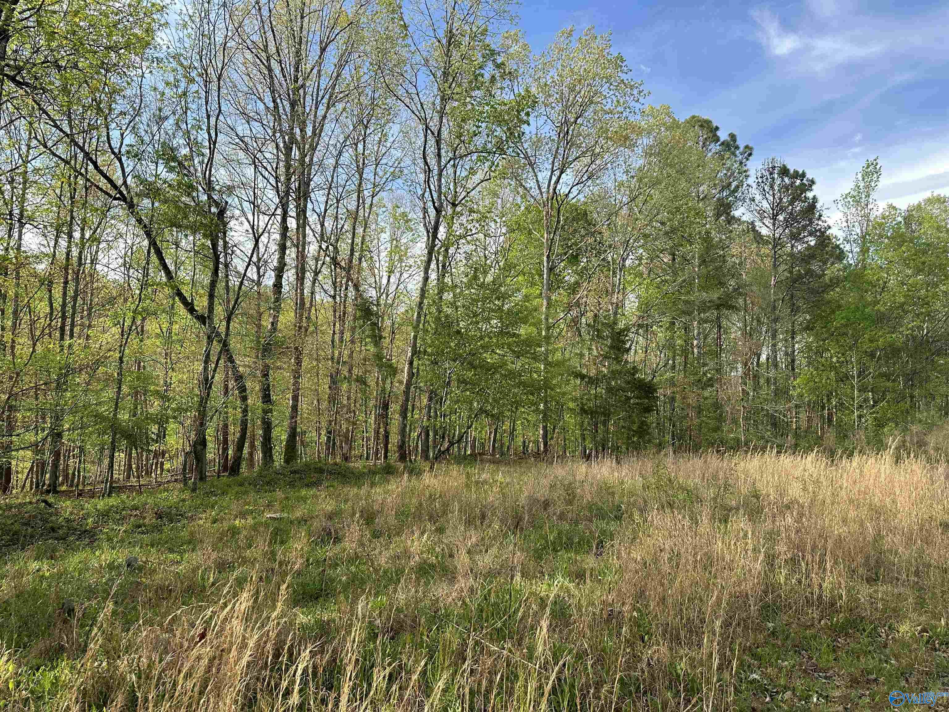 3 acres Hixon Road NW