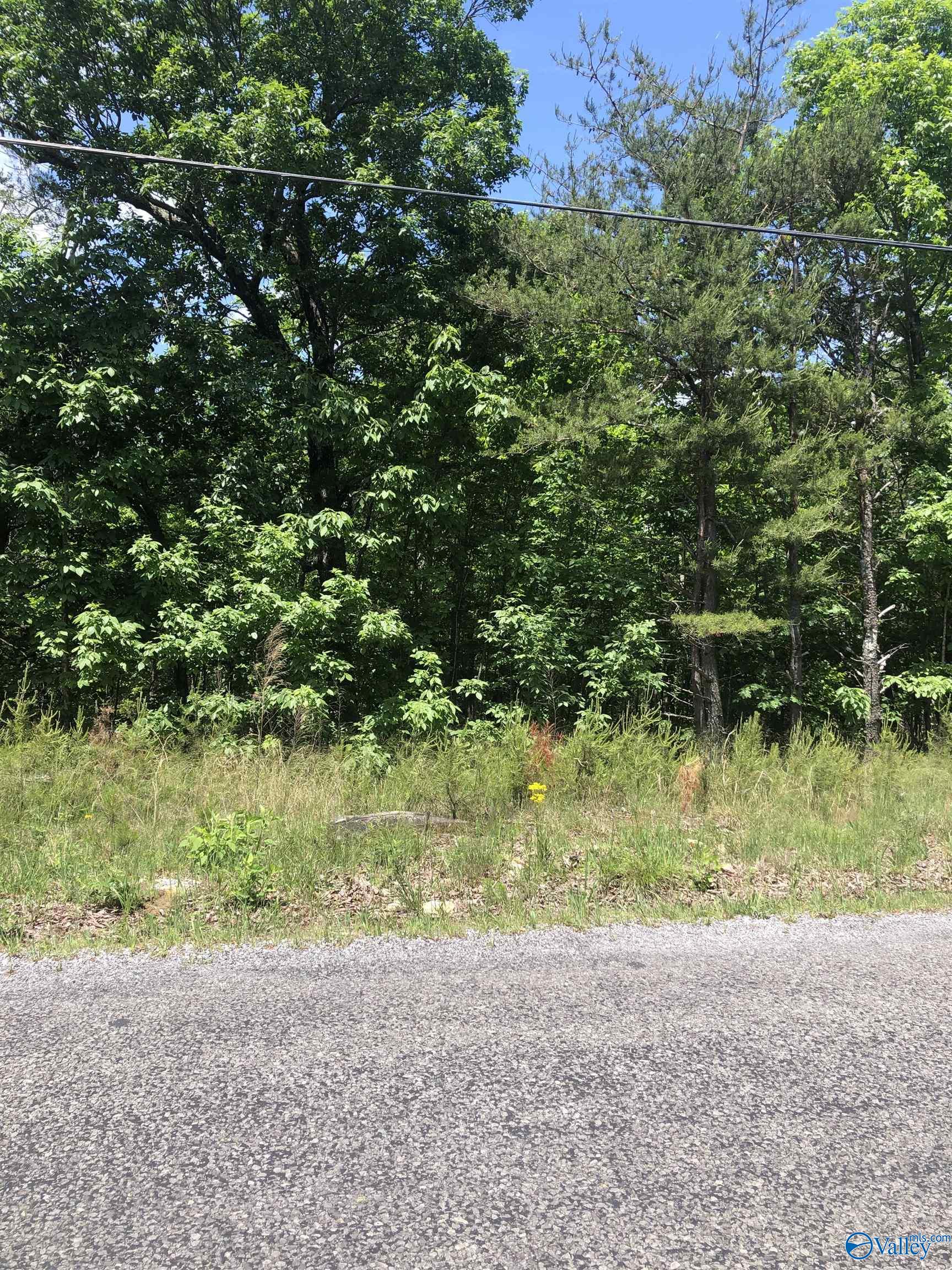 Lot 77 County Road 89