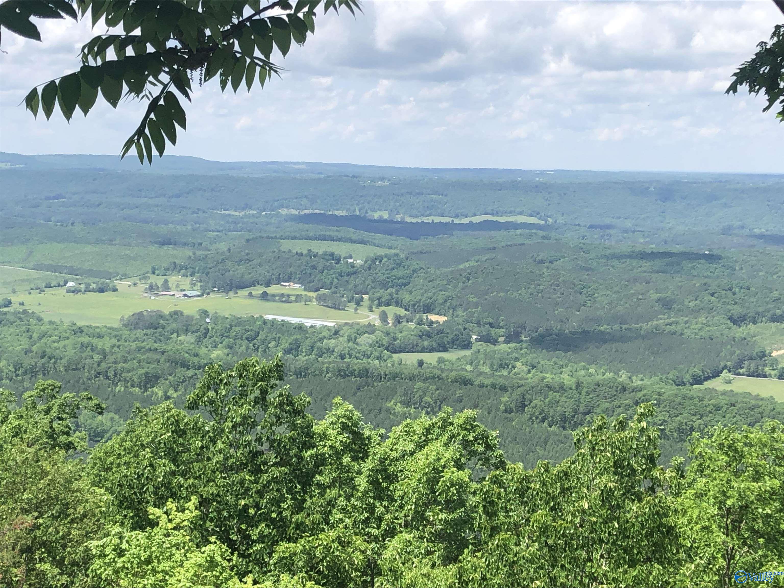 Lot 77 County Road 89