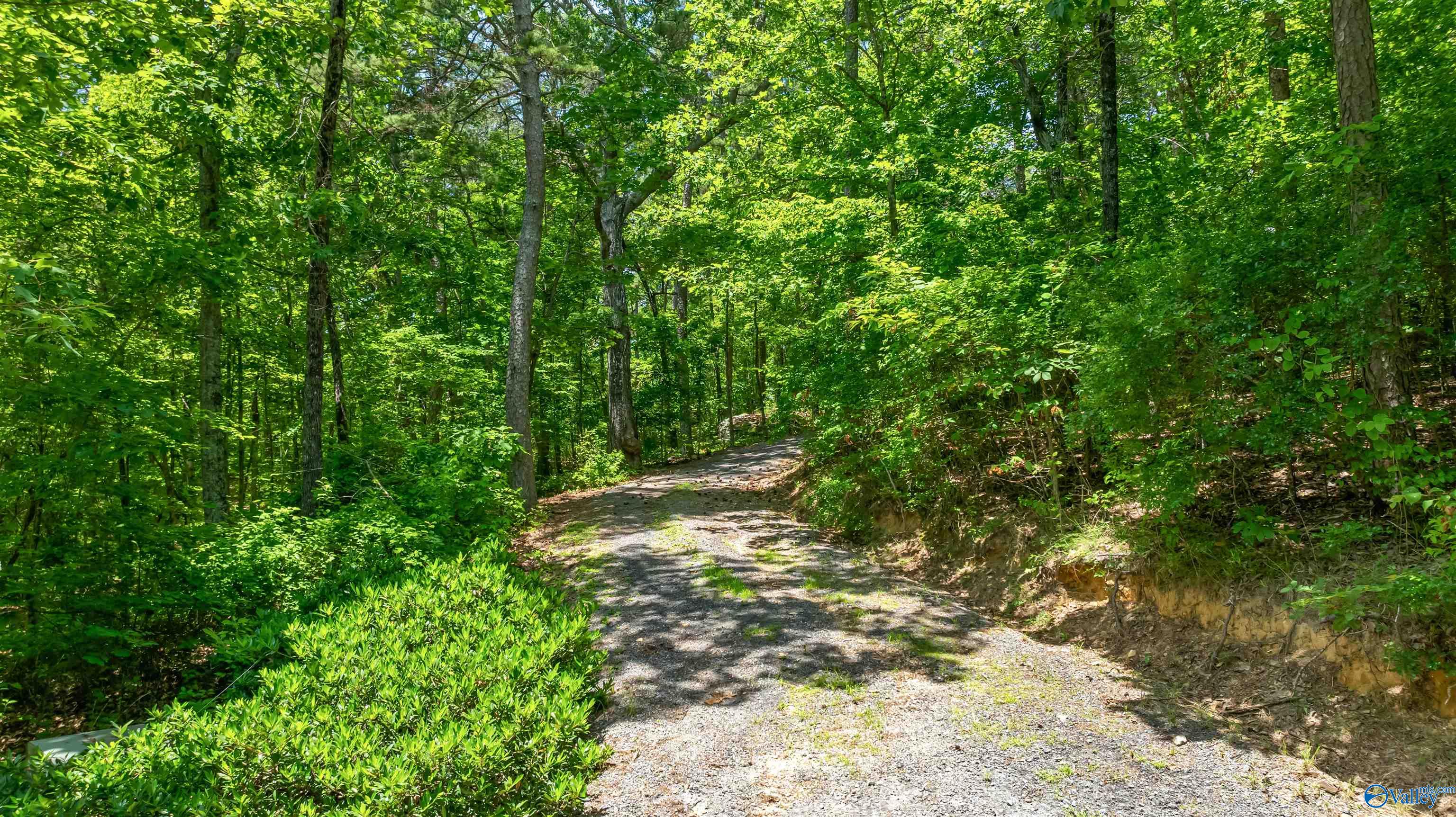 1920 County Road 103