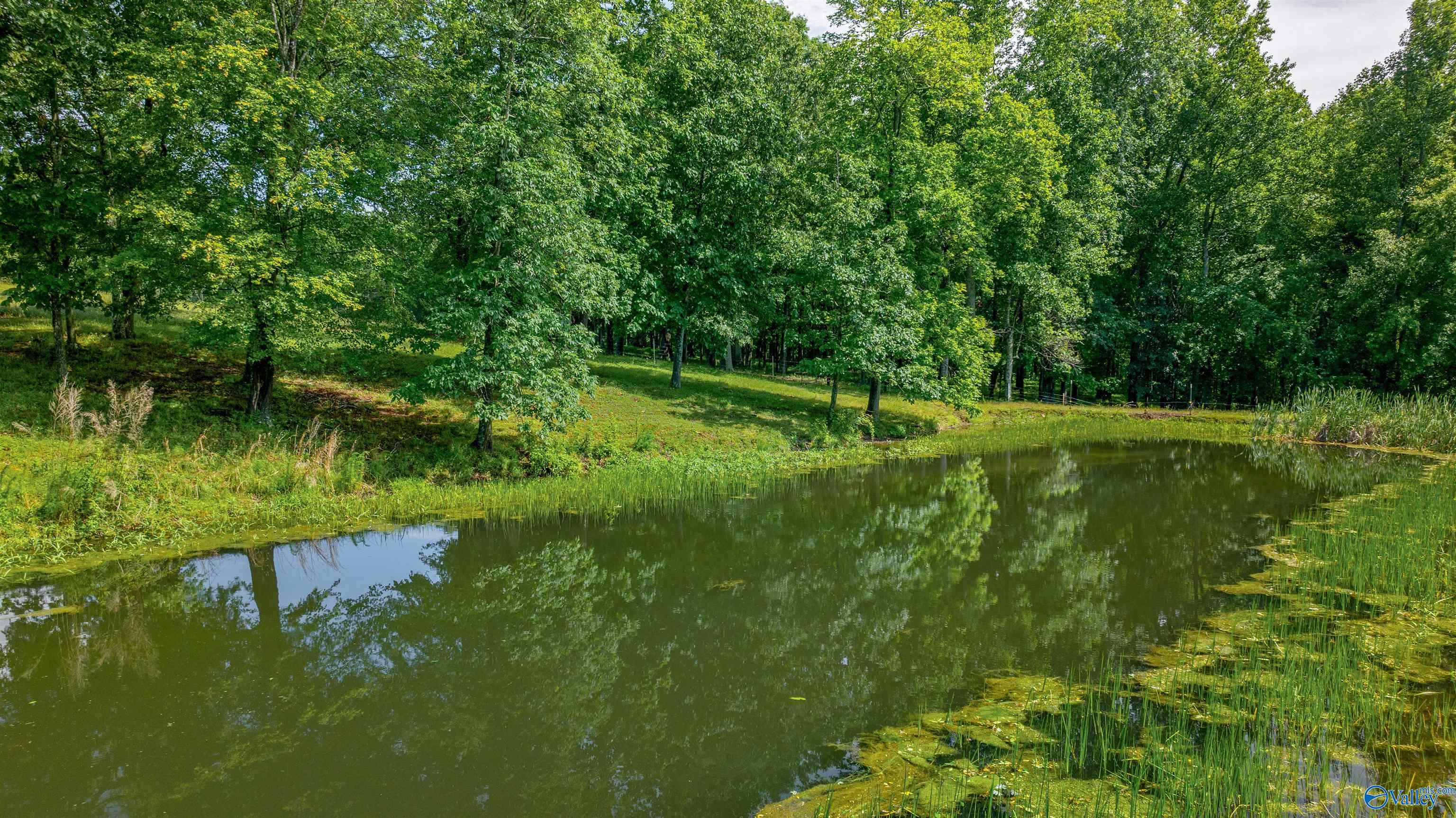 502 County Road 138