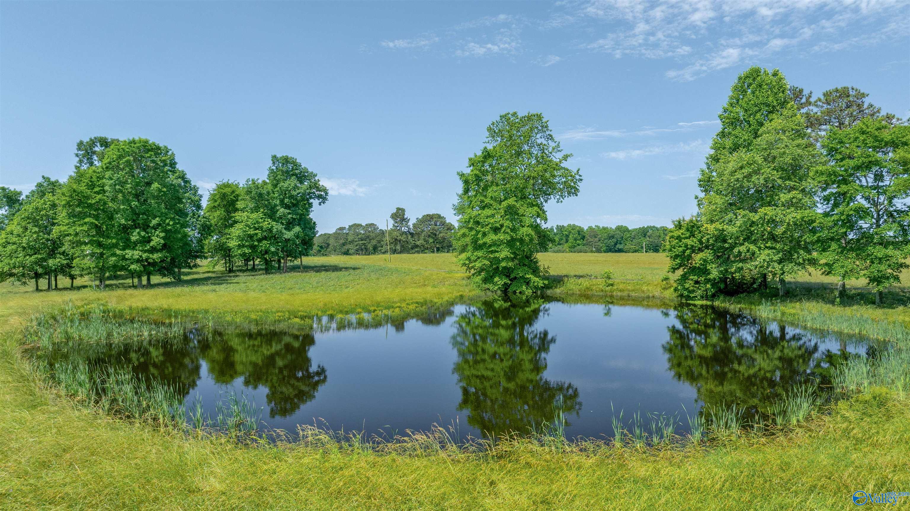 502 County Road 138