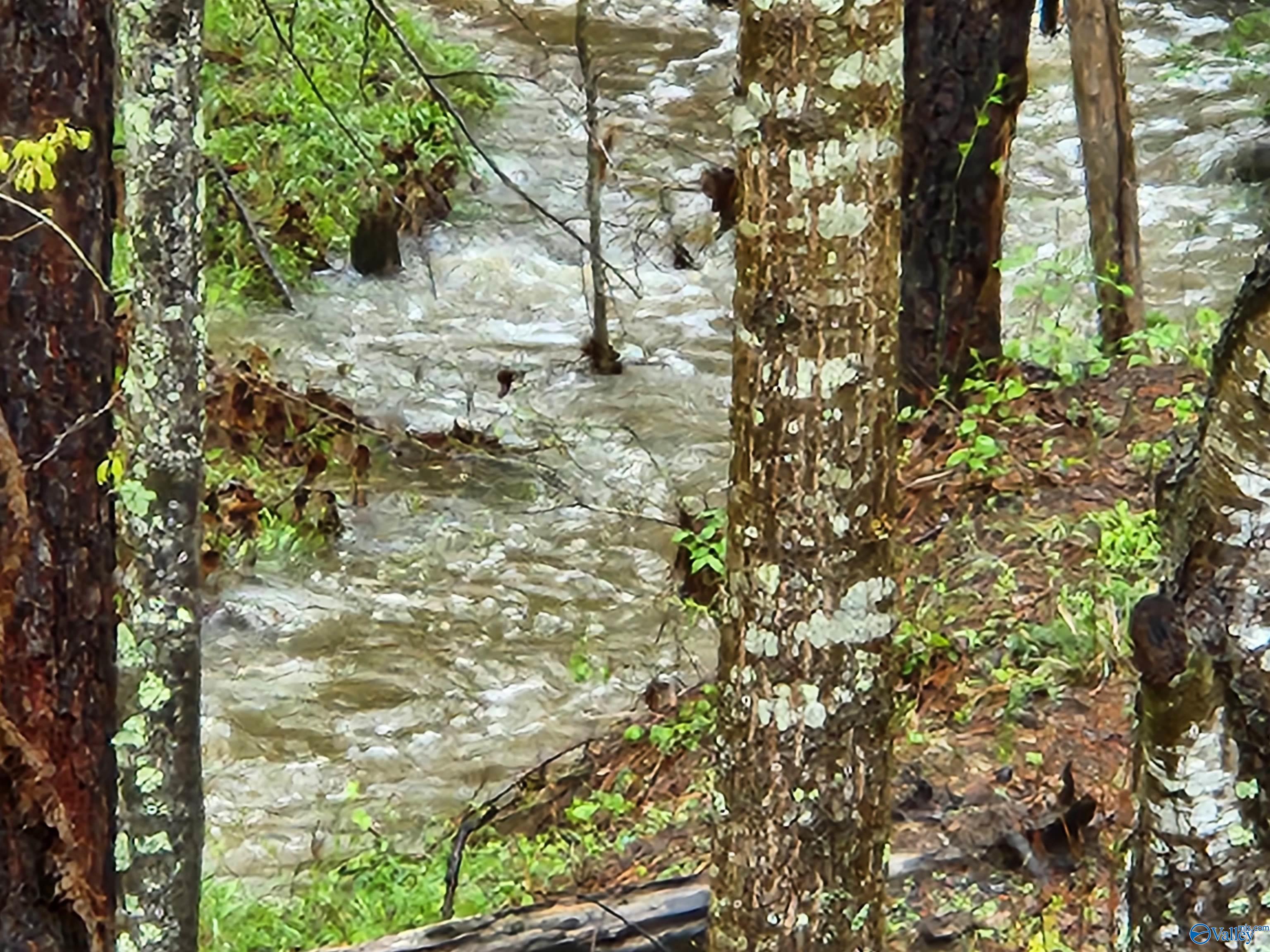 5965 County Road 14