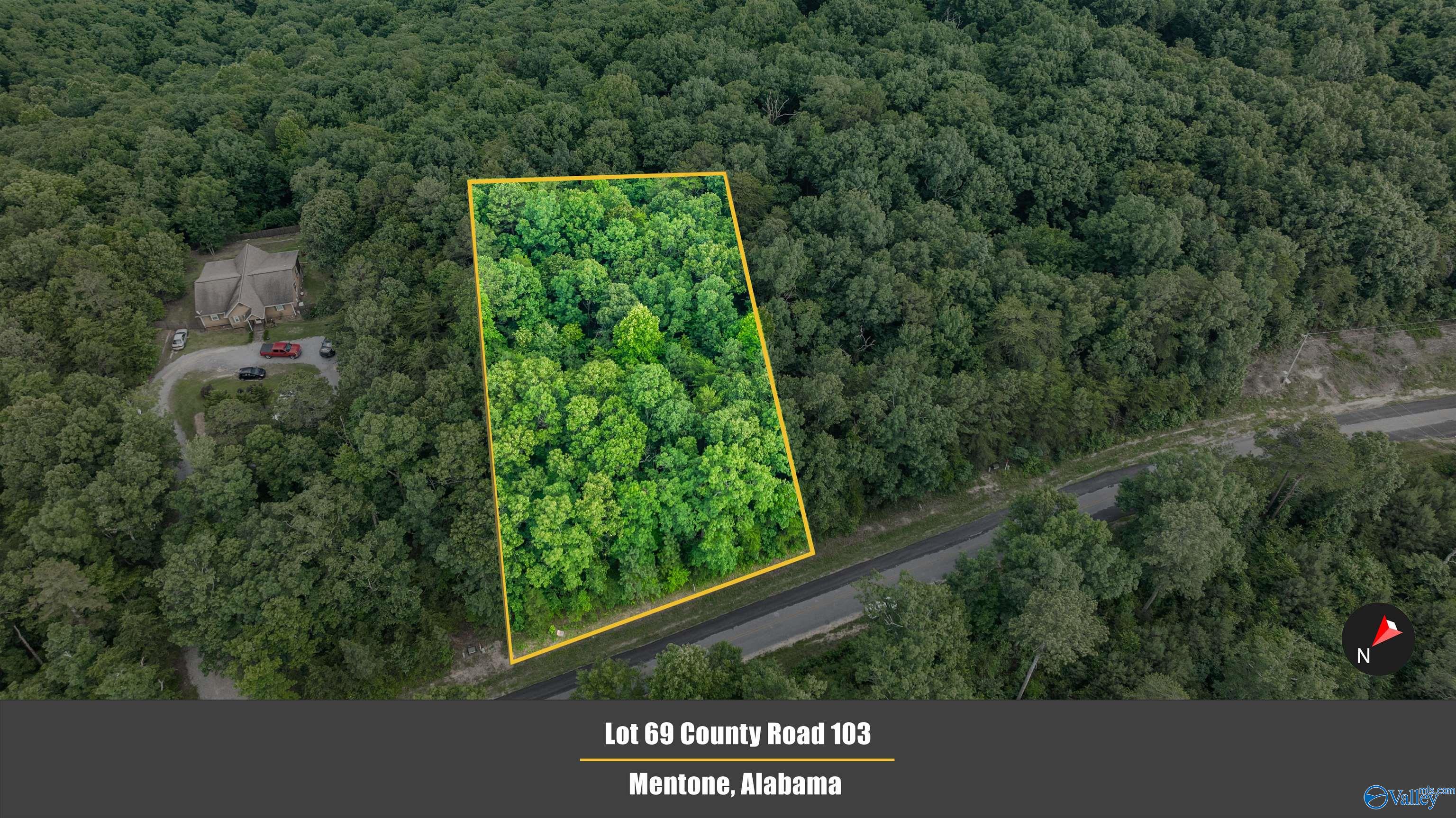 Lot 69 County Road 103