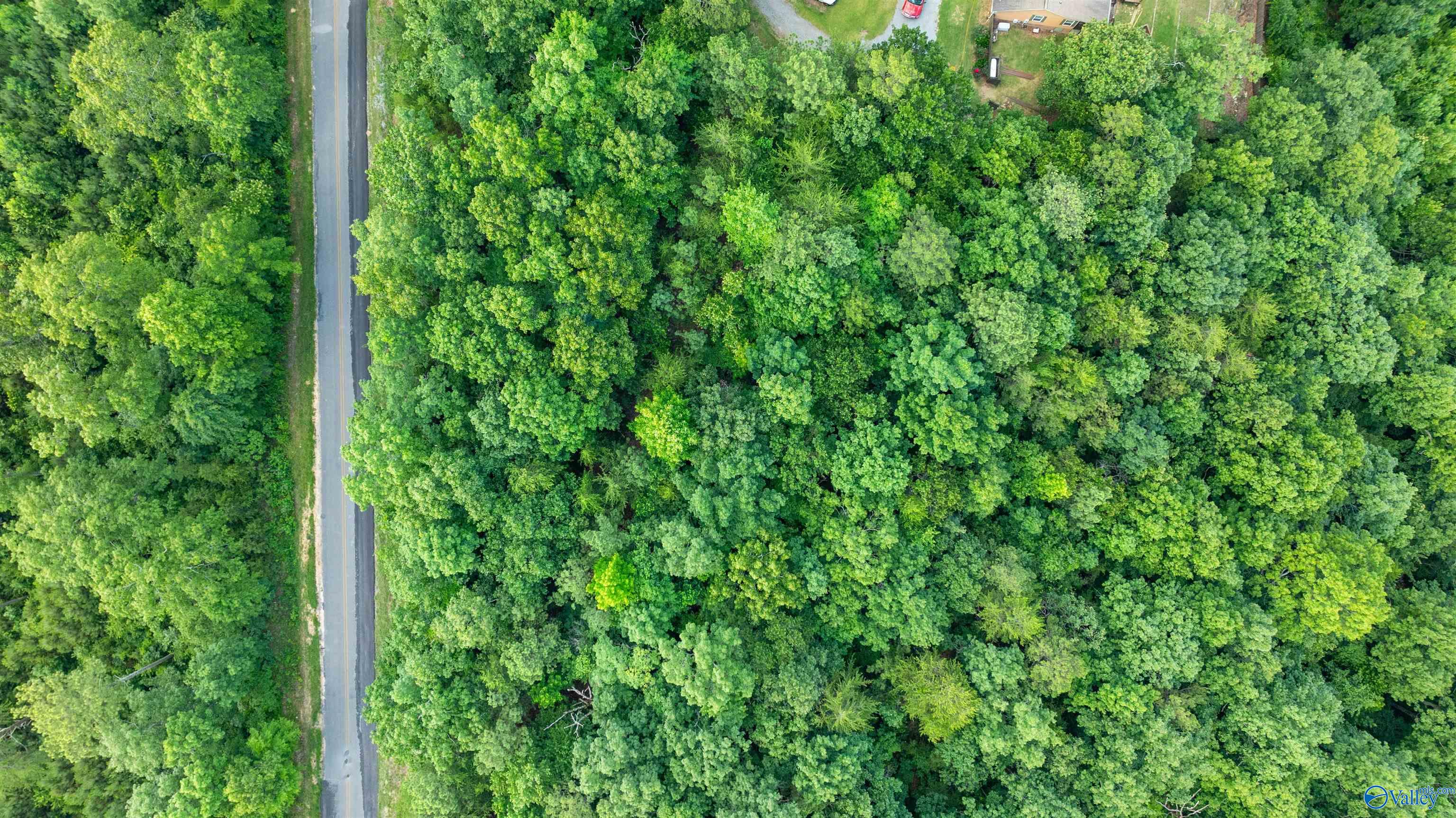 Lot 69 County Road 103