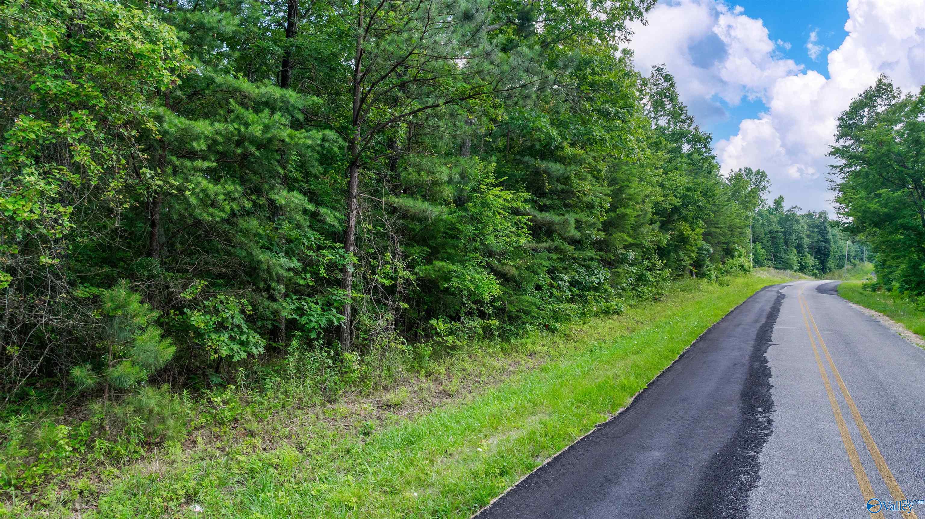 Lot 69 County Road 103
