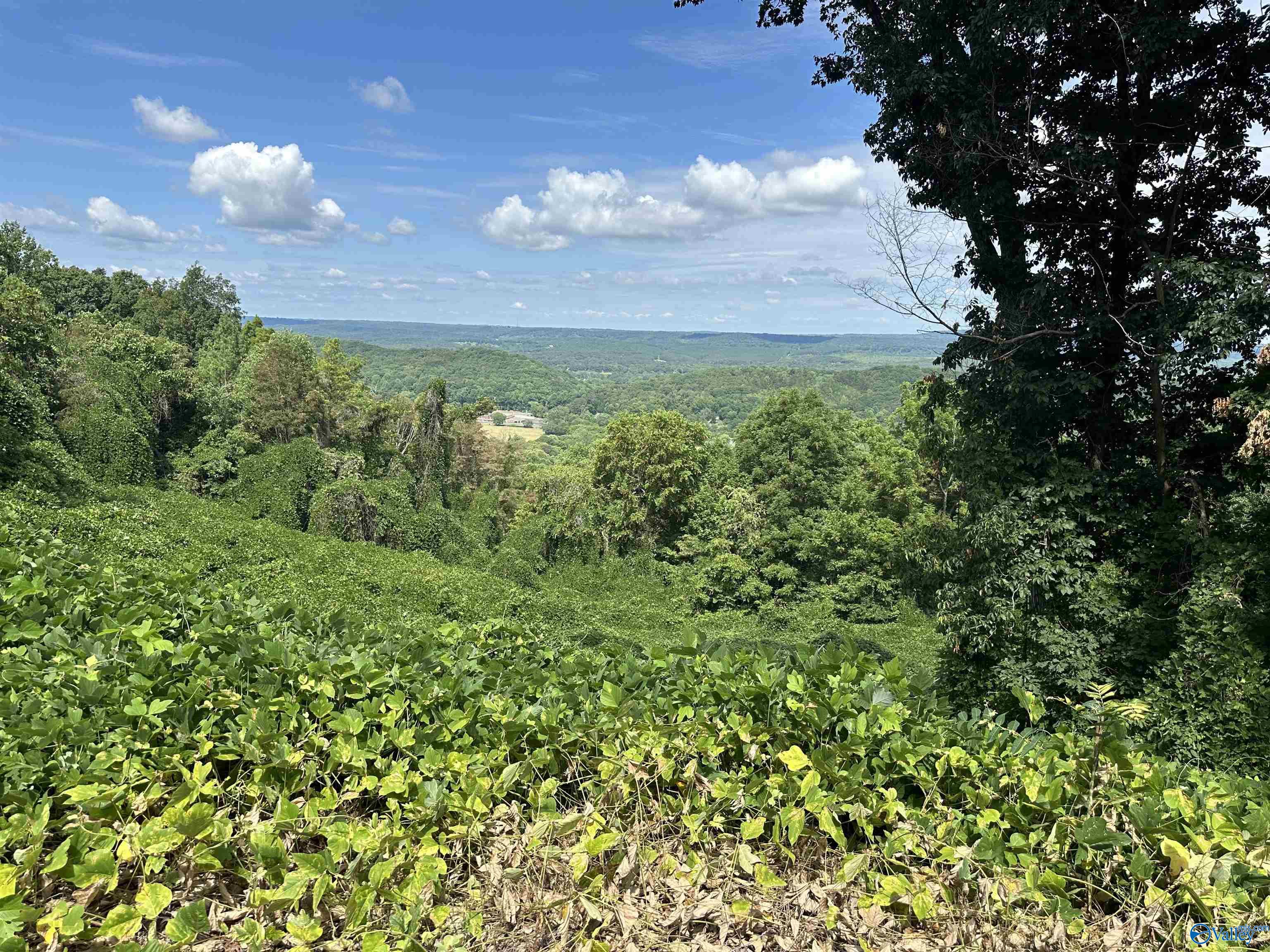 21 +/- acres Alabama Highway 117