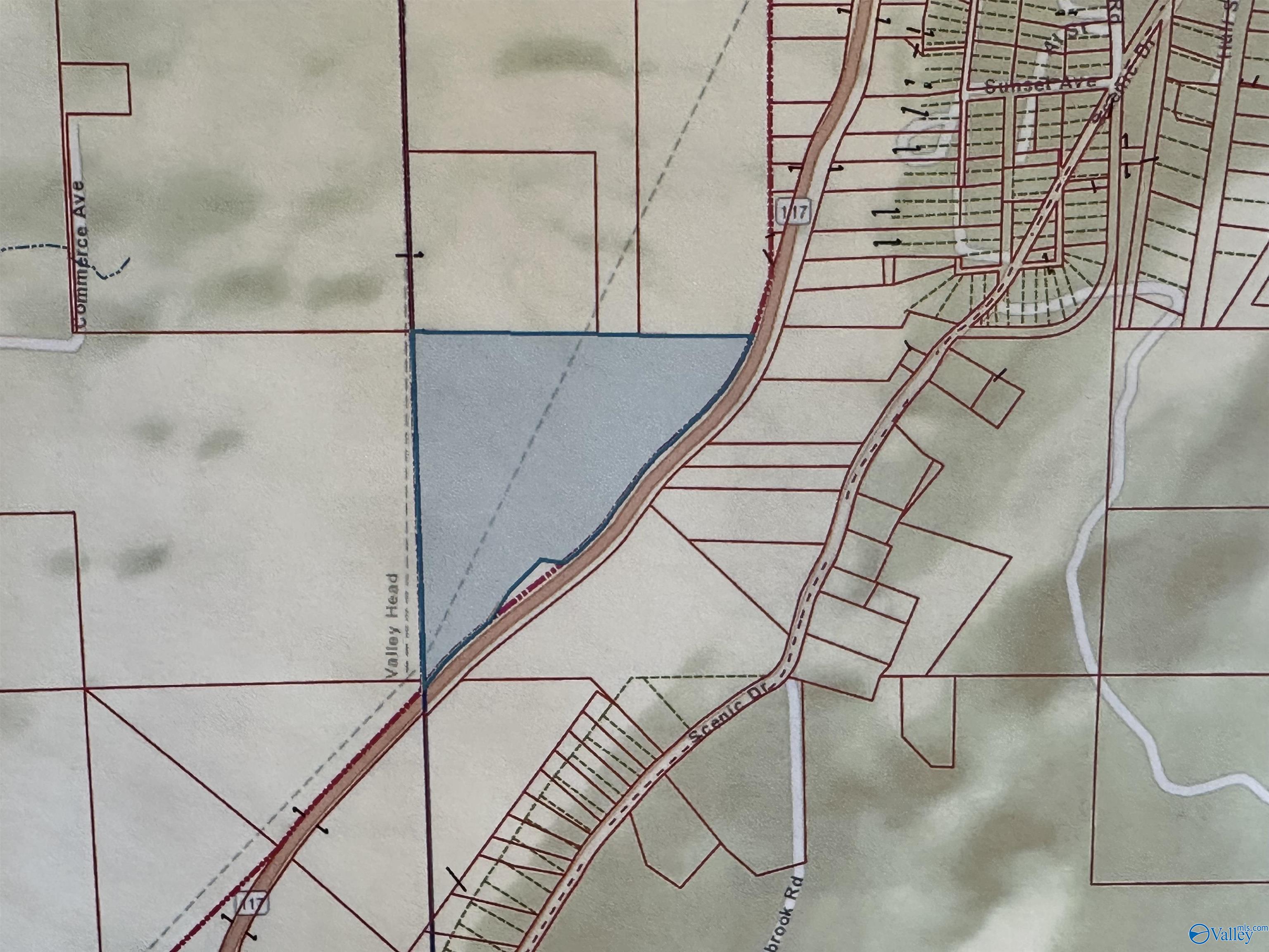 21 +/- acres Alabama Highway 117