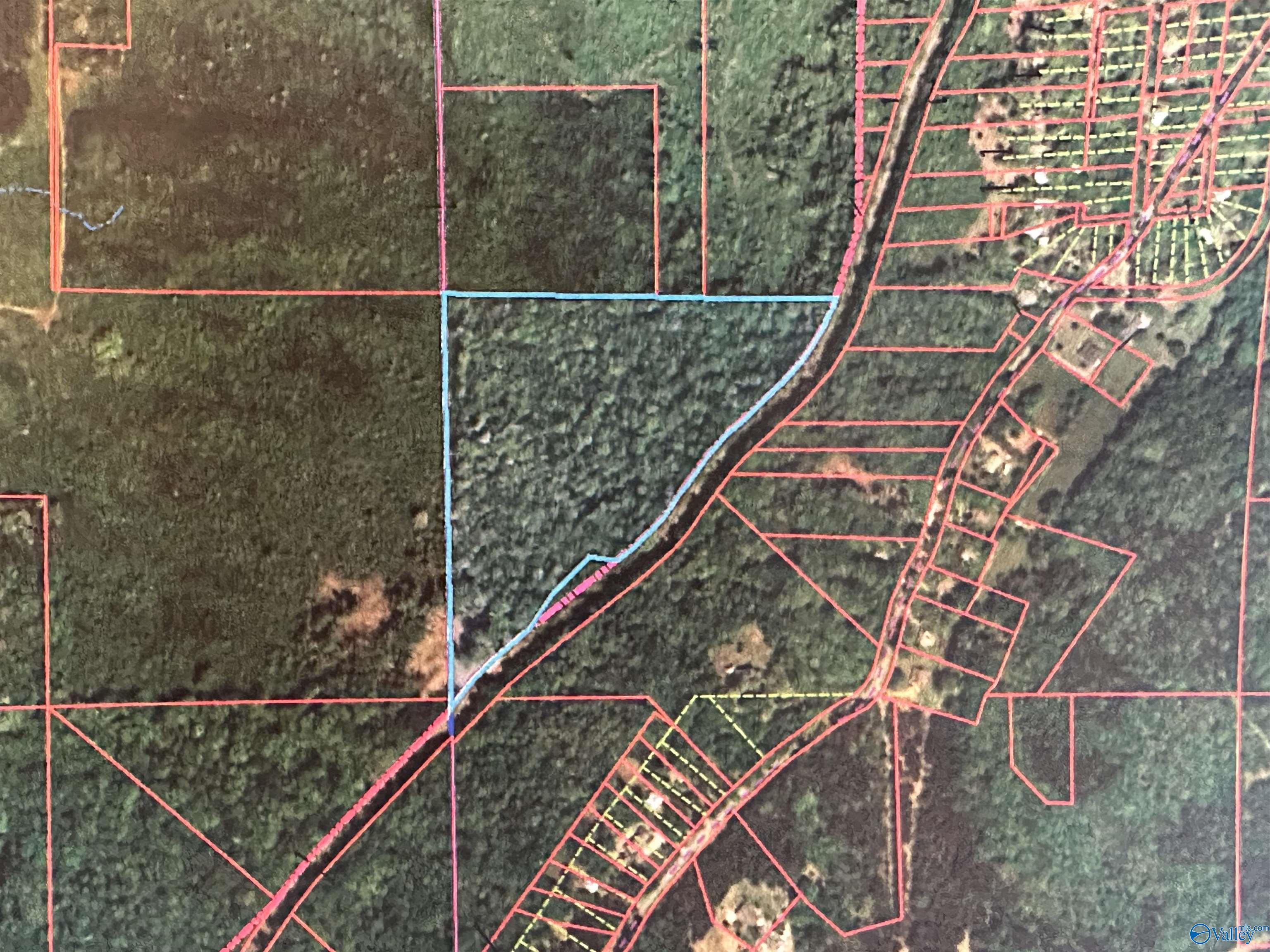 21 +/- acres Alabama Highway 117