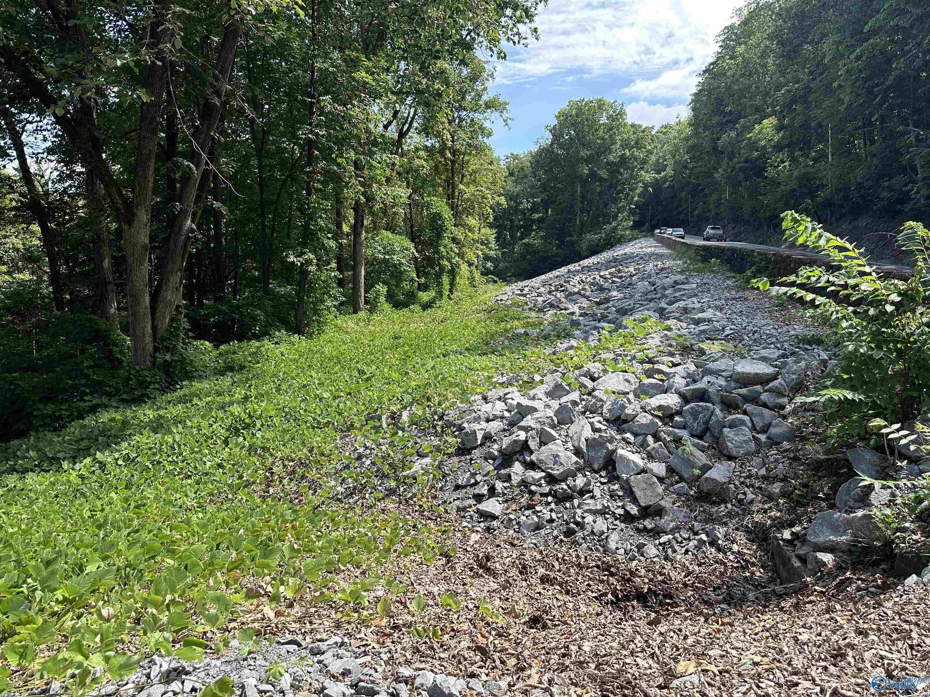 21 +/- acres Alabama Highway 117