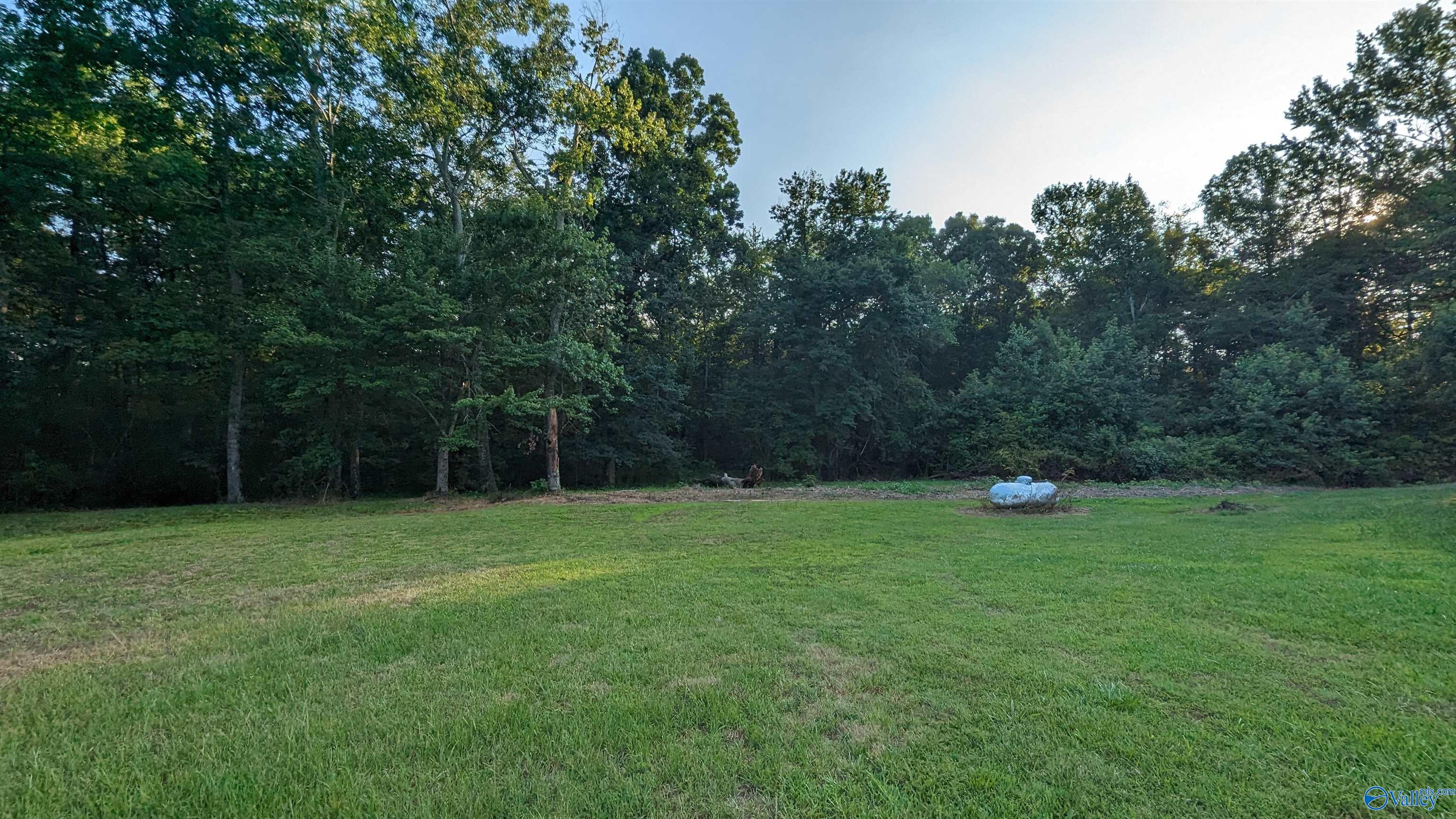 1424 County Road 115
