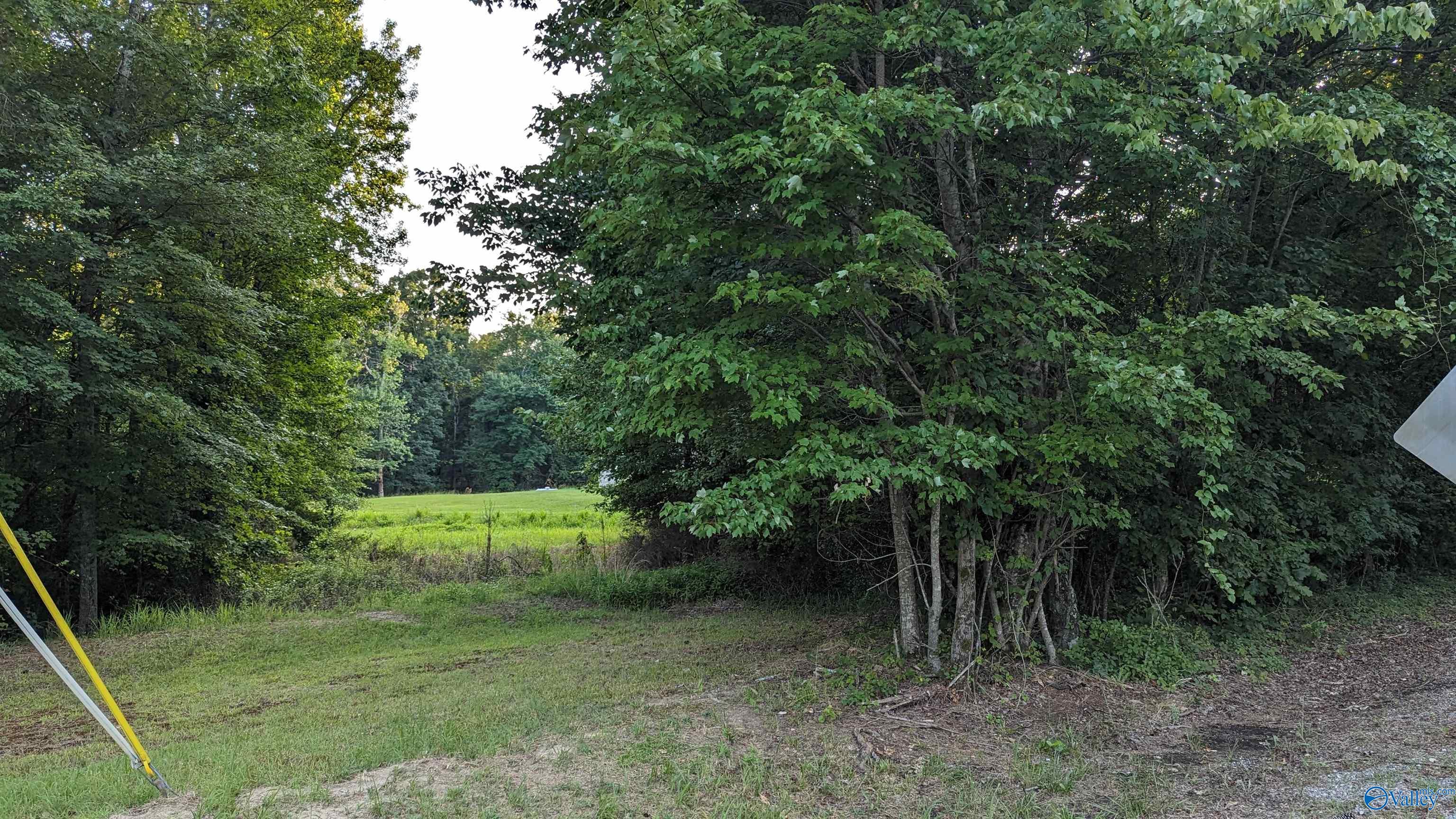 1424 County Road 115