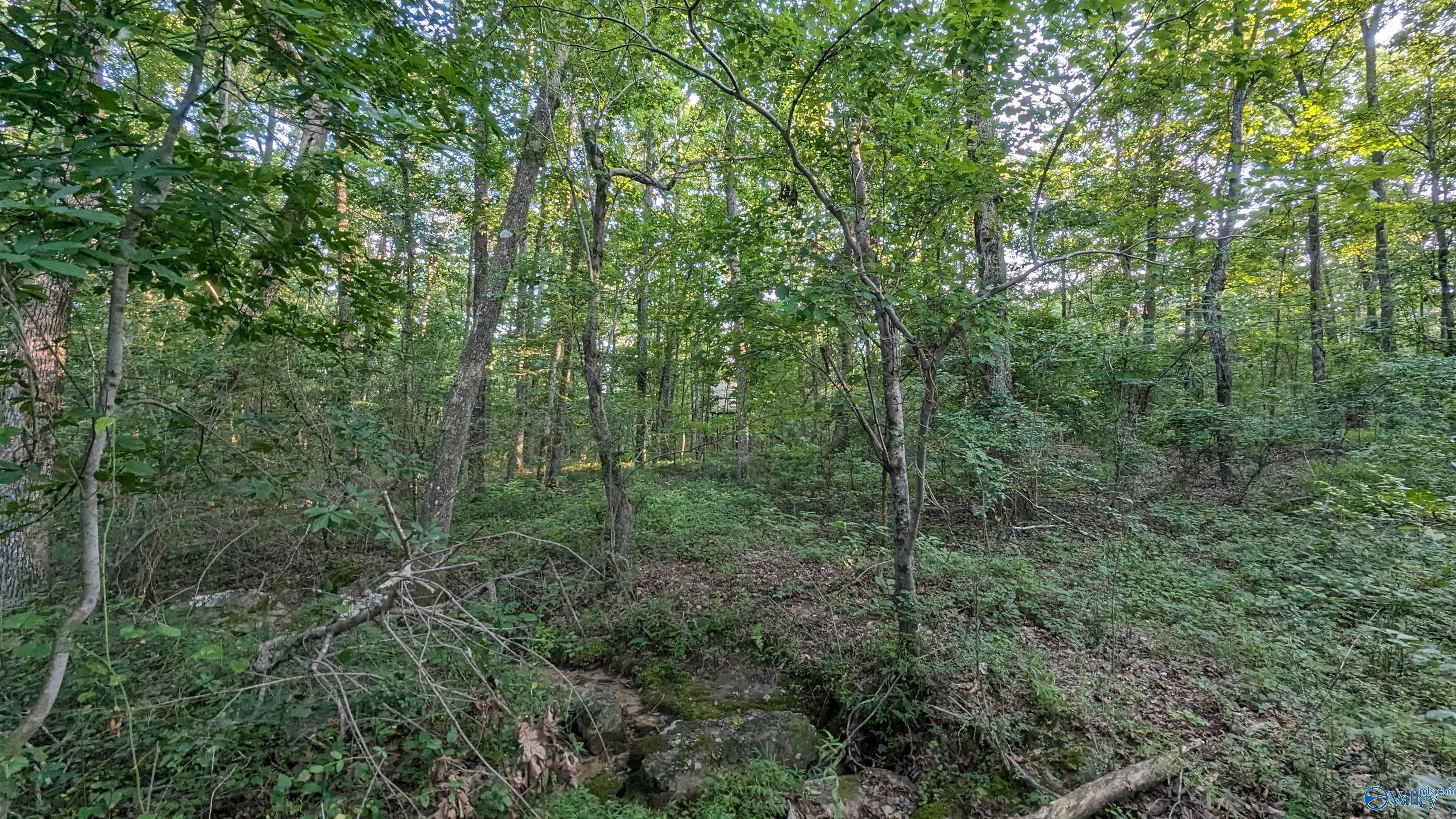1424 County Road 115