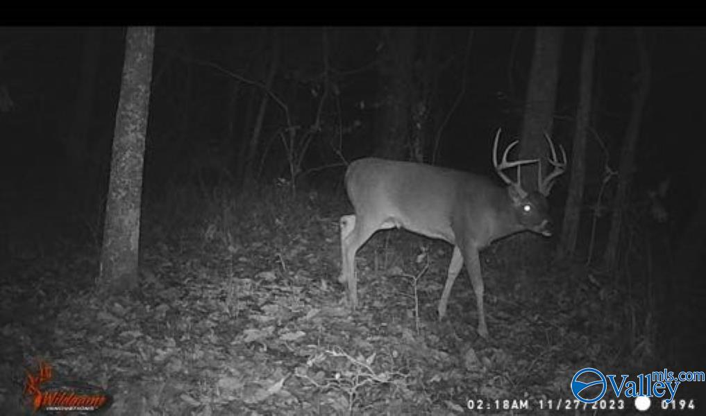 1424 County Road 115