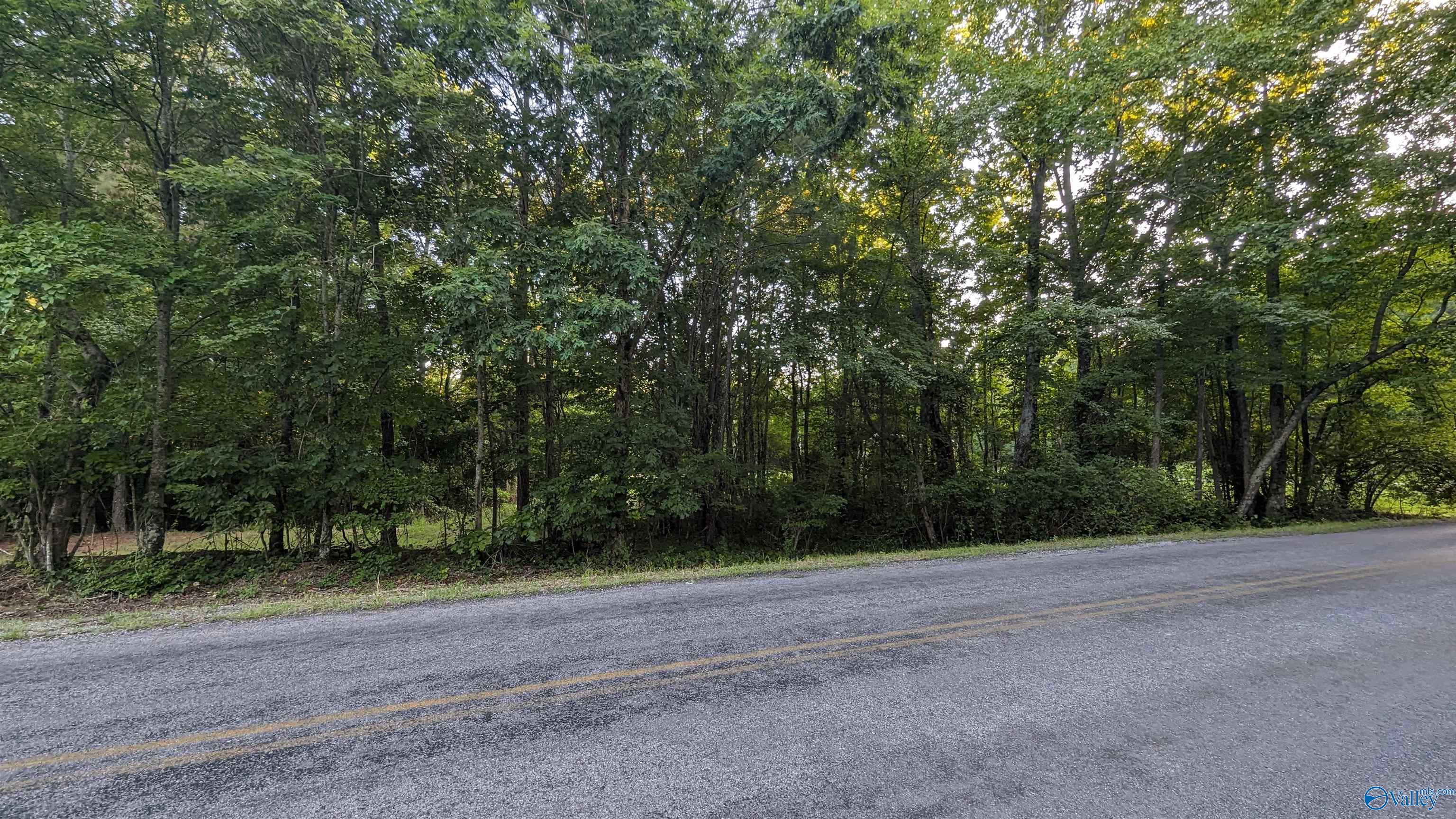 1424 County Road 115