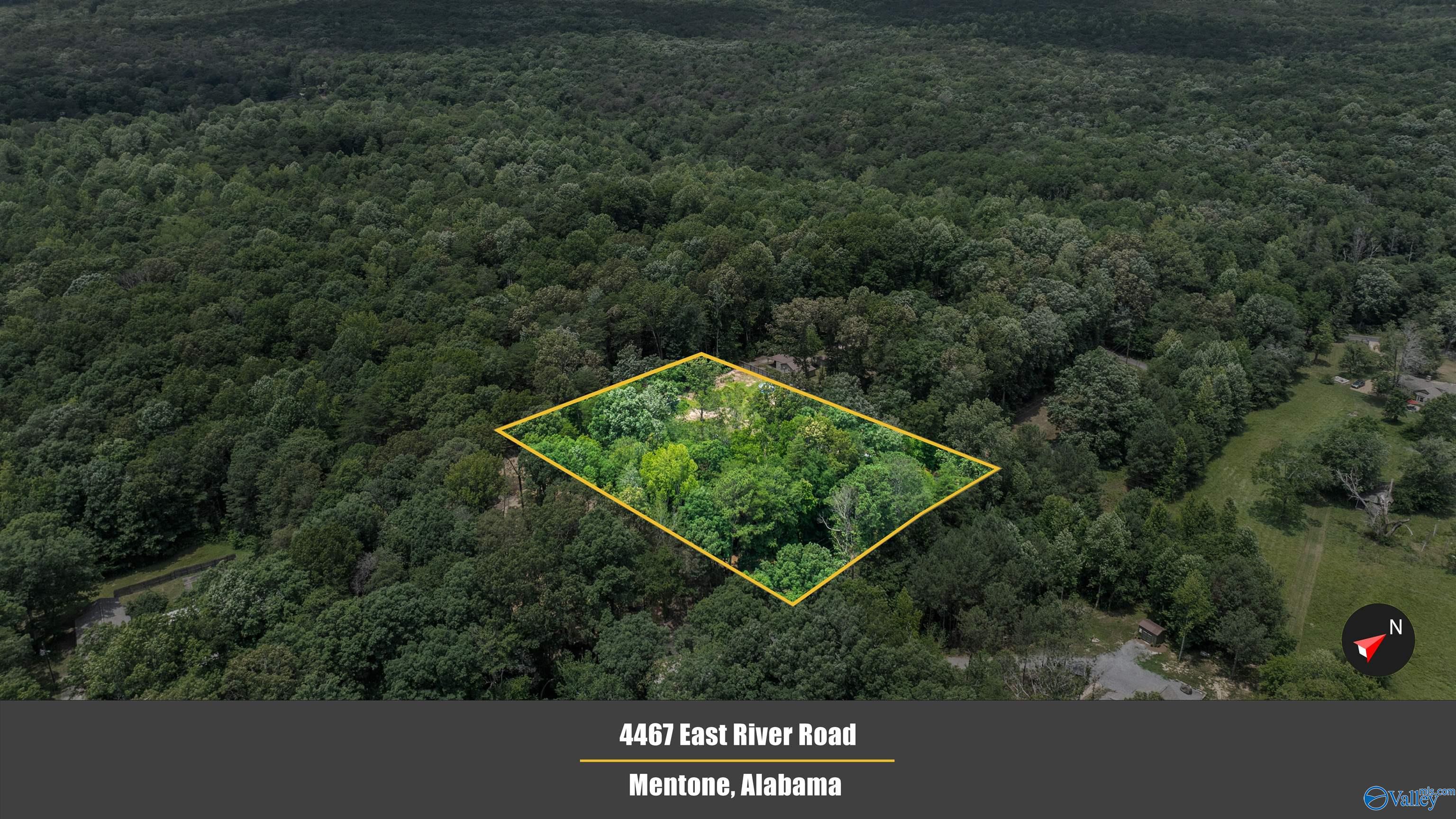 4467 East River Road