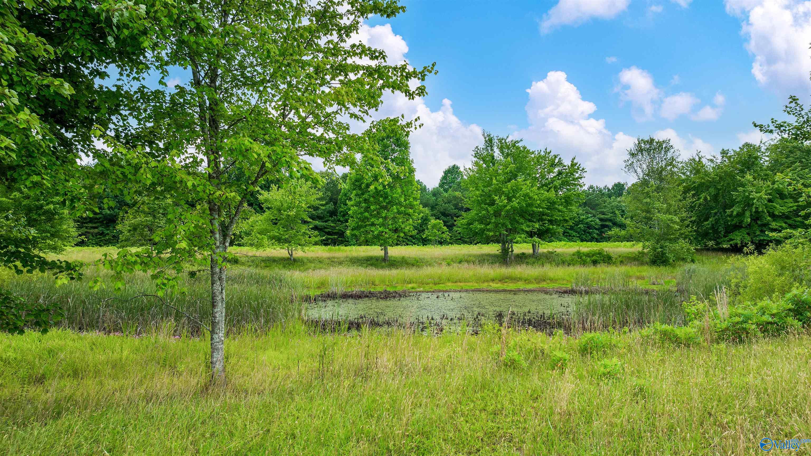 223 County Road 644
