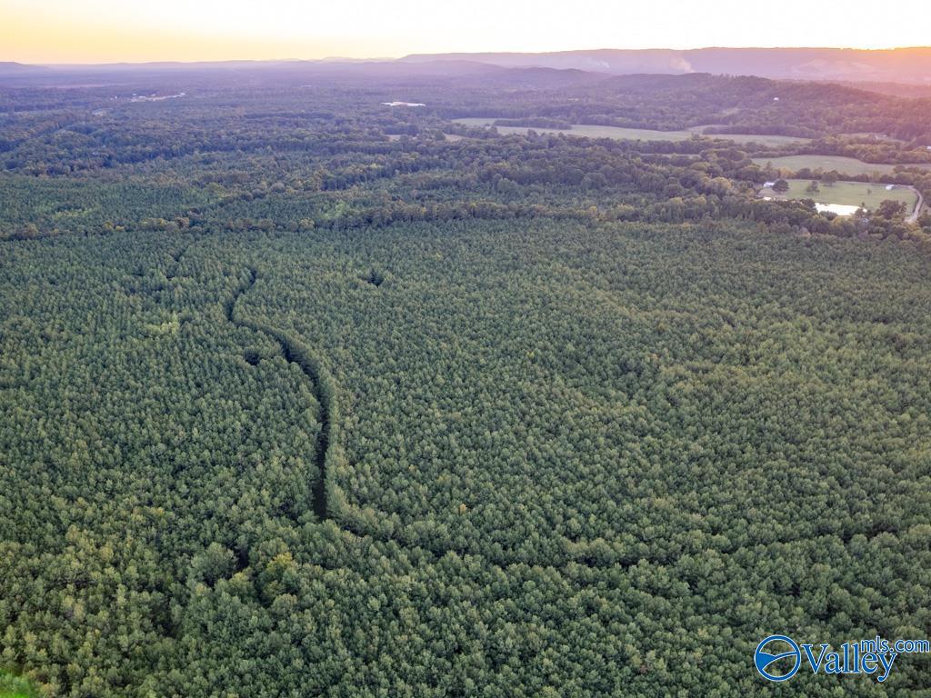130 ACRES Highway 11