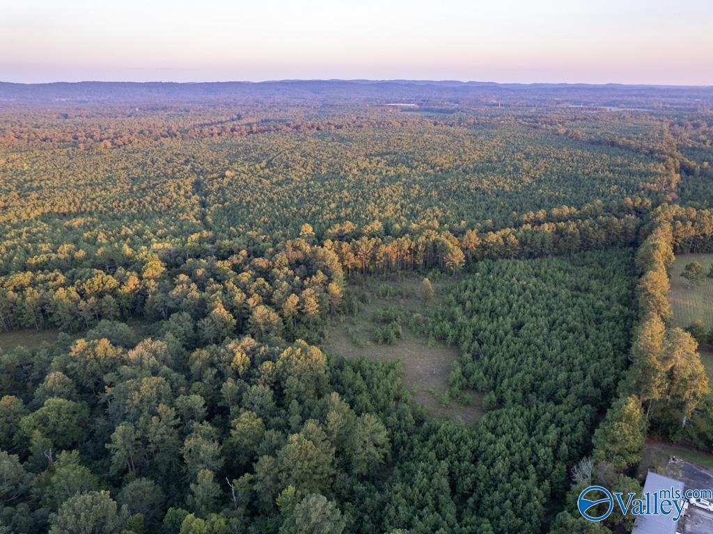 130 ACRES Highway 11