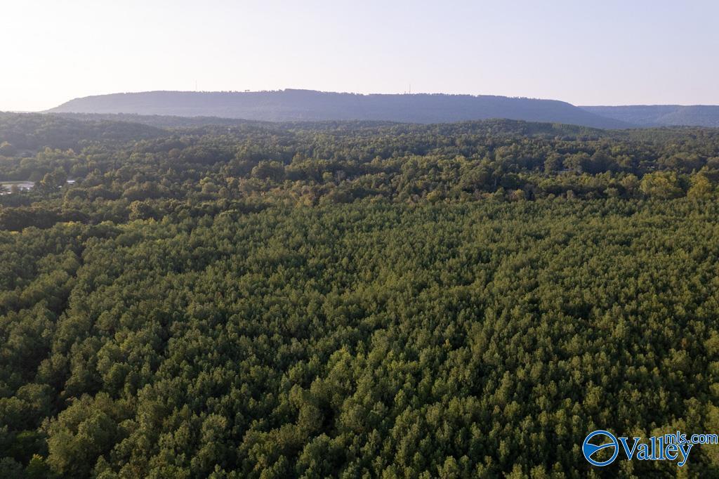 110 acres Highway 11