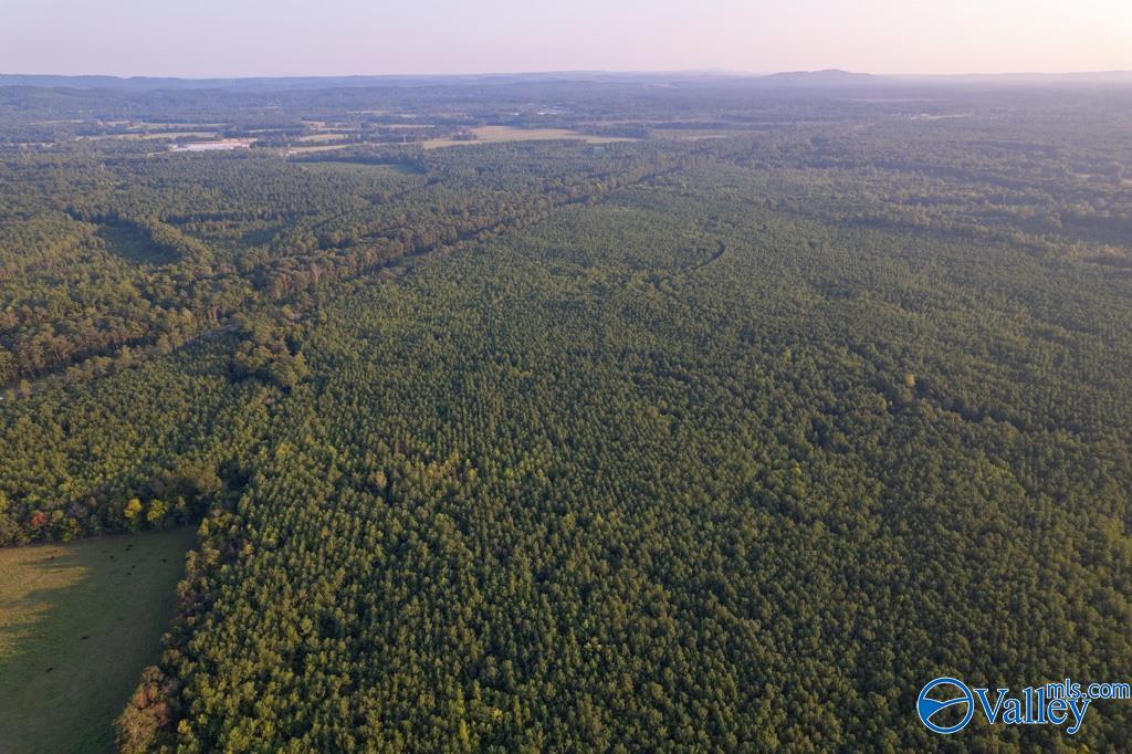 110 acres Highway 11