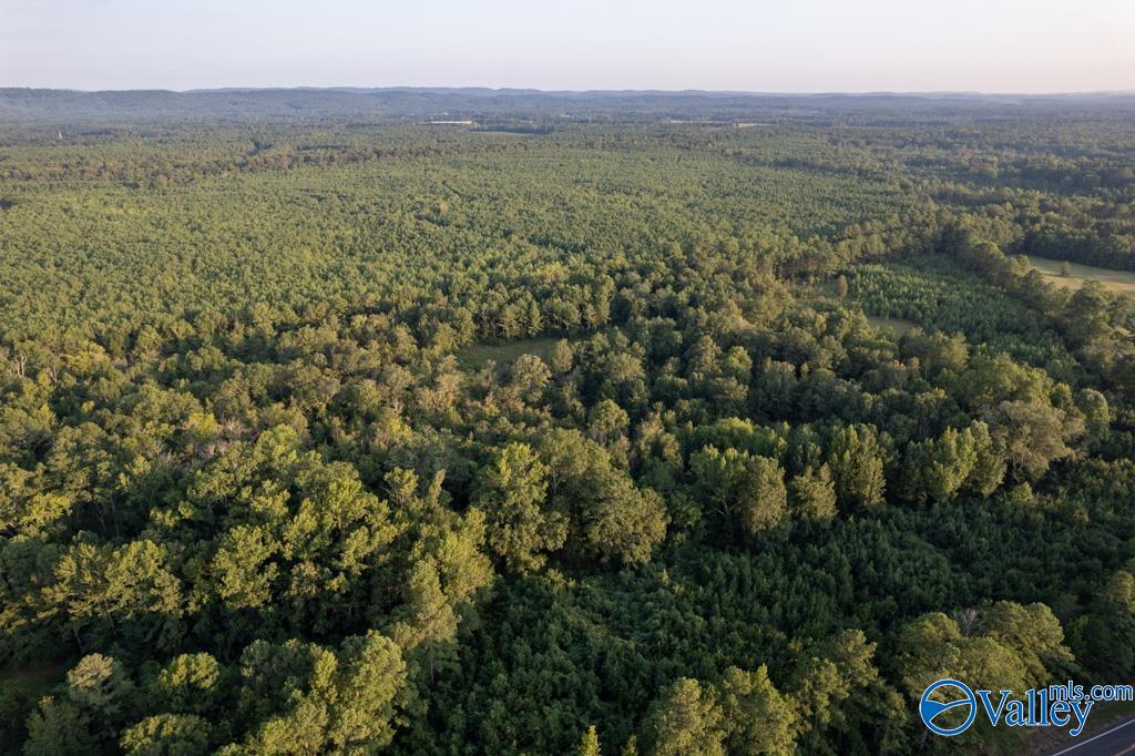 110 acres Highway 11
