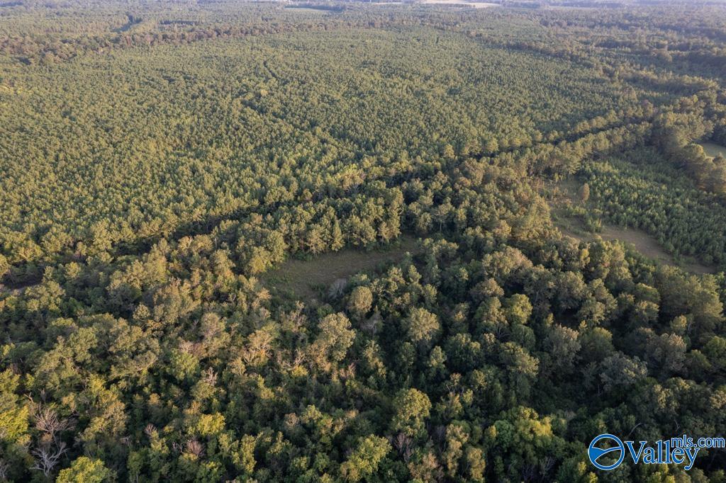 110 acres Highway 11