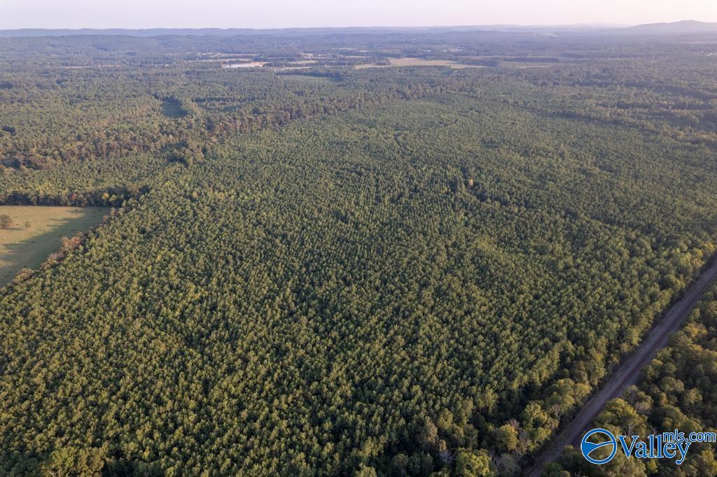 110 acres Highway 11