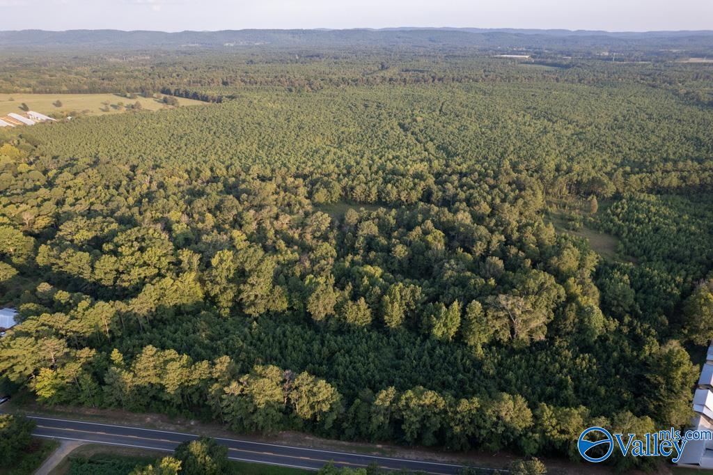 110 acres Highway 11
