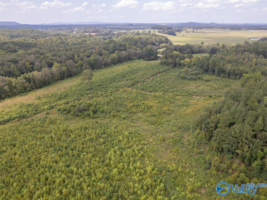 72 acres Highway 431
