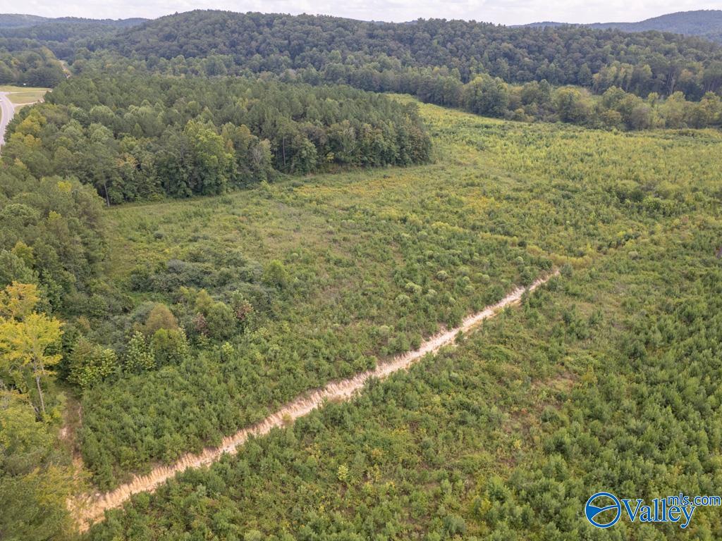 72 acres Highway 431