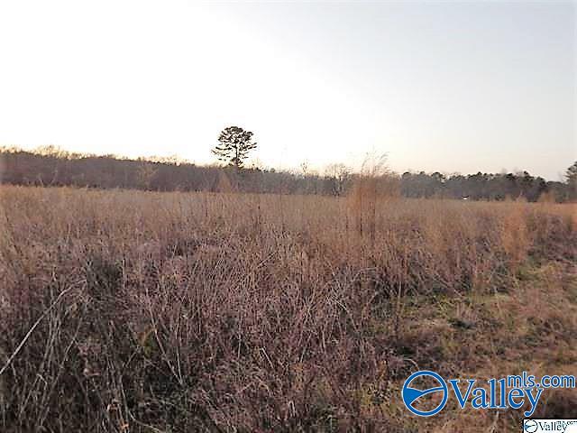 72 acres Highway 431