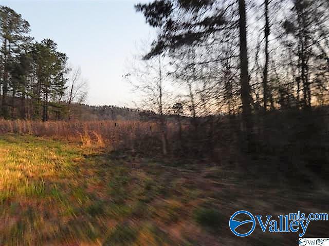 72 acres Highway 431