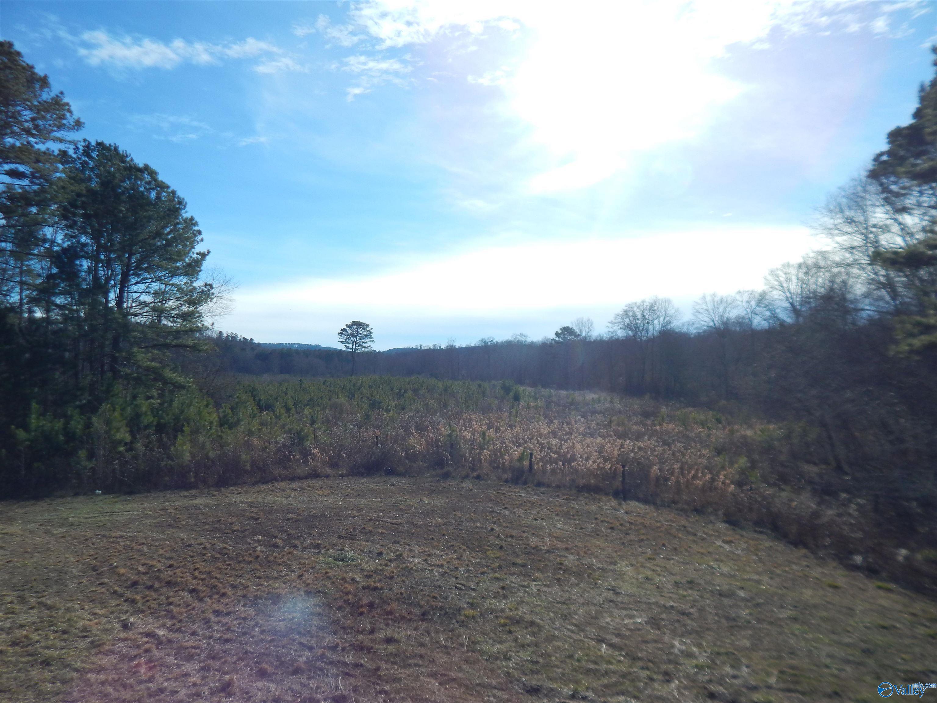 72 acres Highway 431