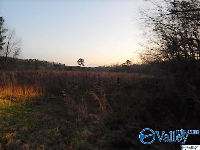 72 acres Highway 431