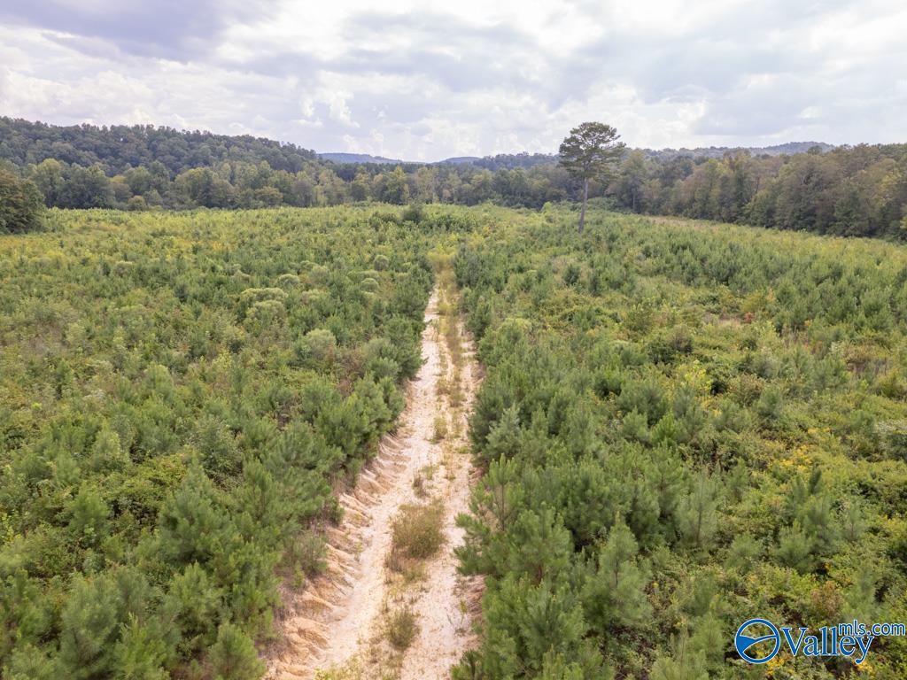 72 acres Highway 431