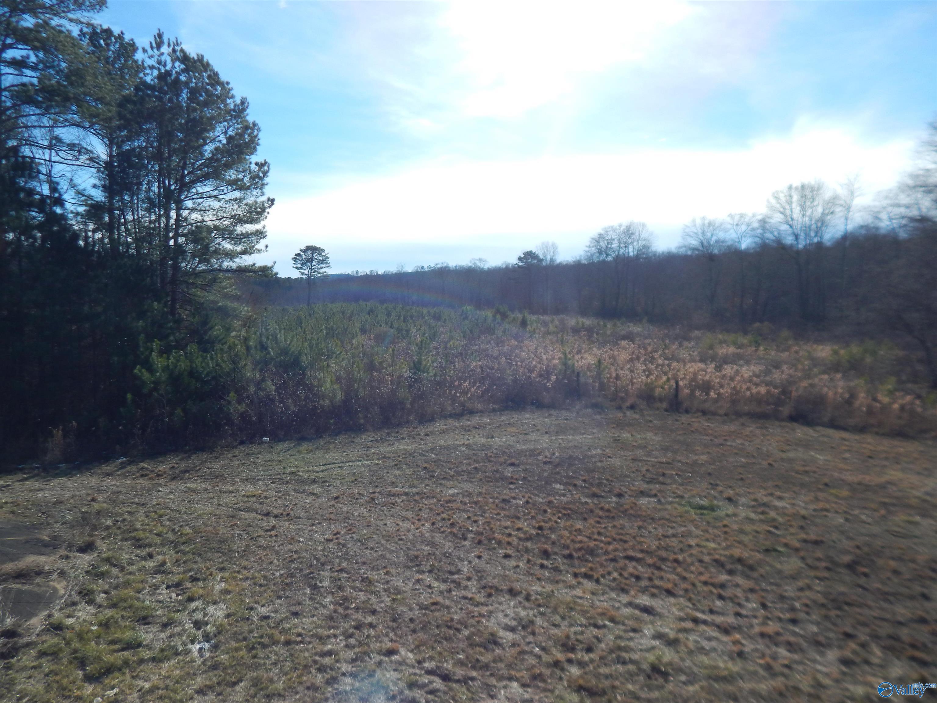 72 acres Highway 431