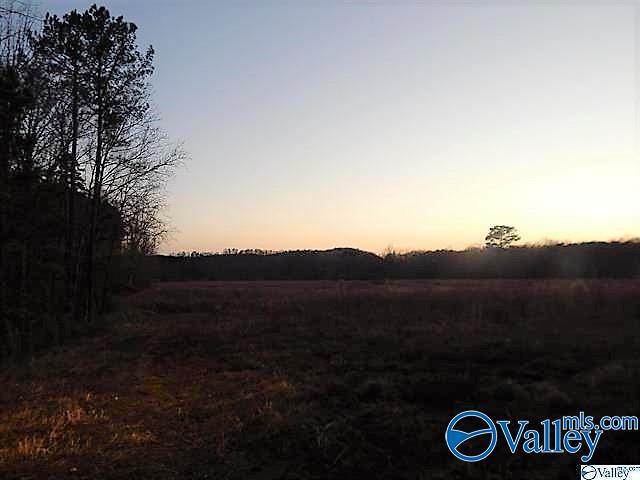 72 acres Highway 431