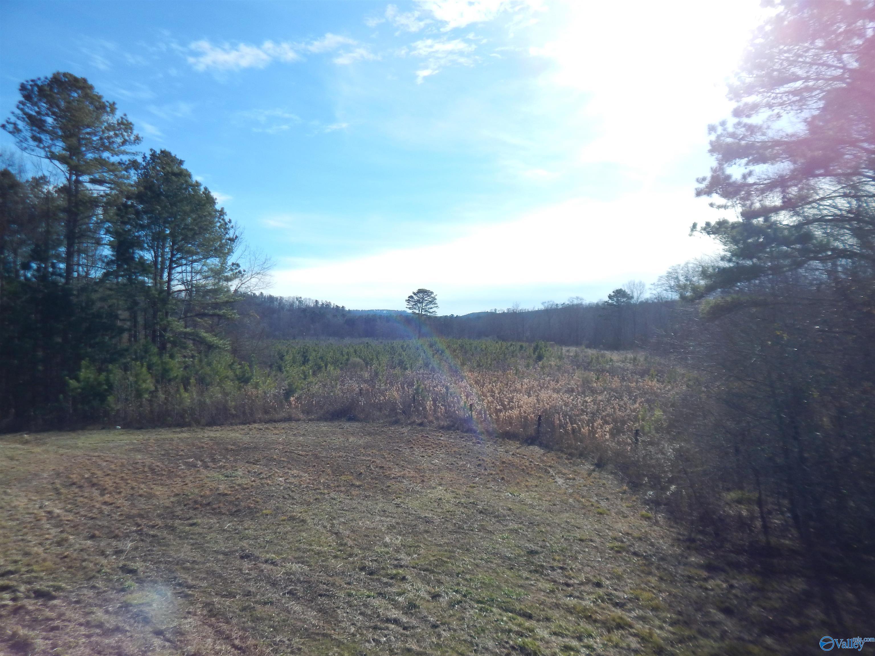 72 acres Highway 431