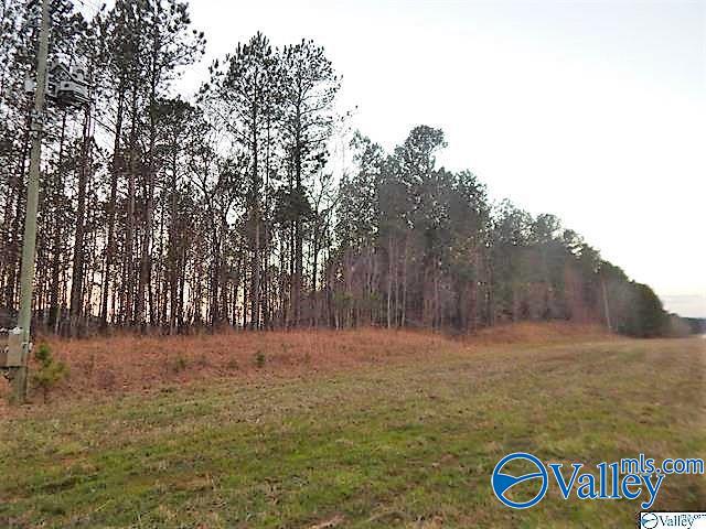 72 acres Highway 431