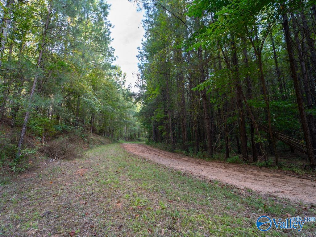 67 acres off County Road 22