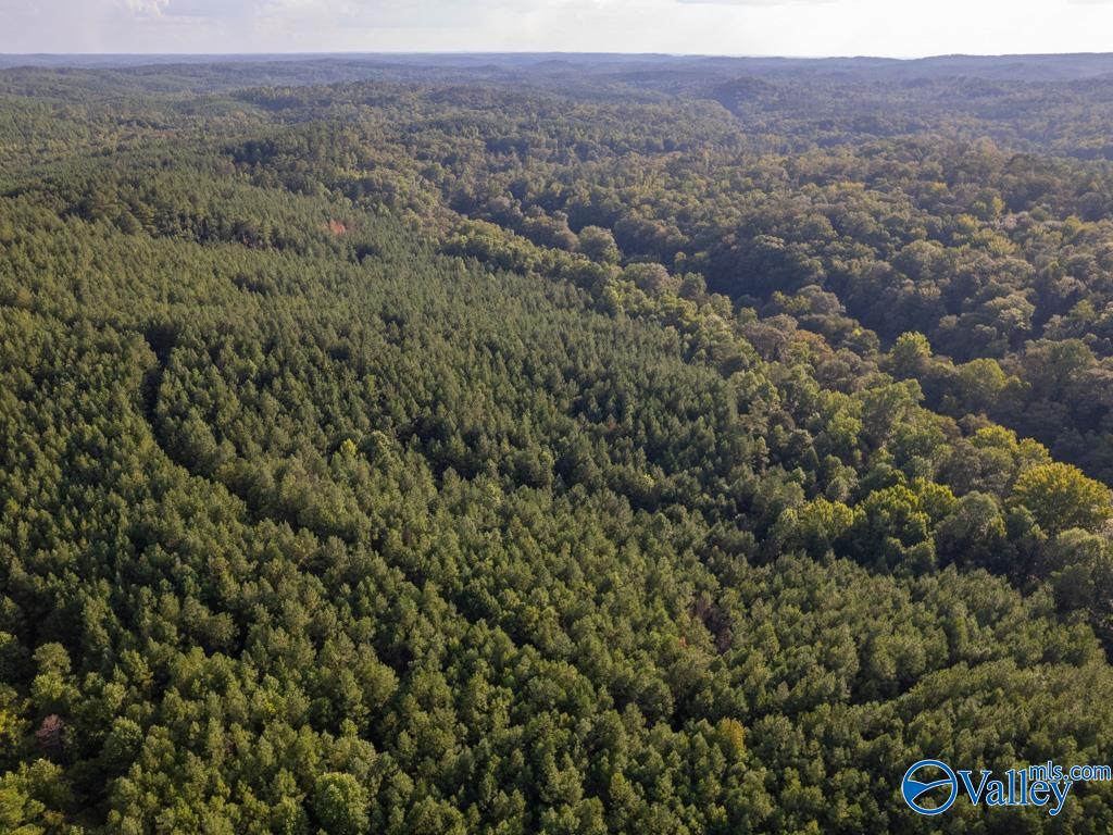 67 acres off County Road 22