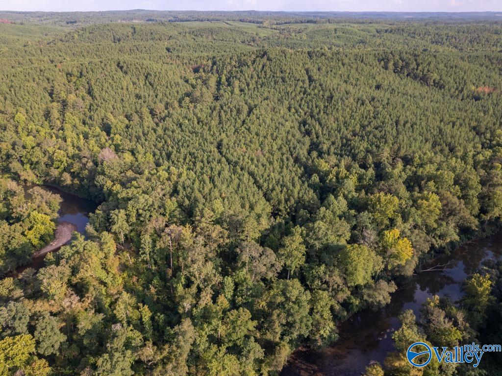 67 acres off County Road 22