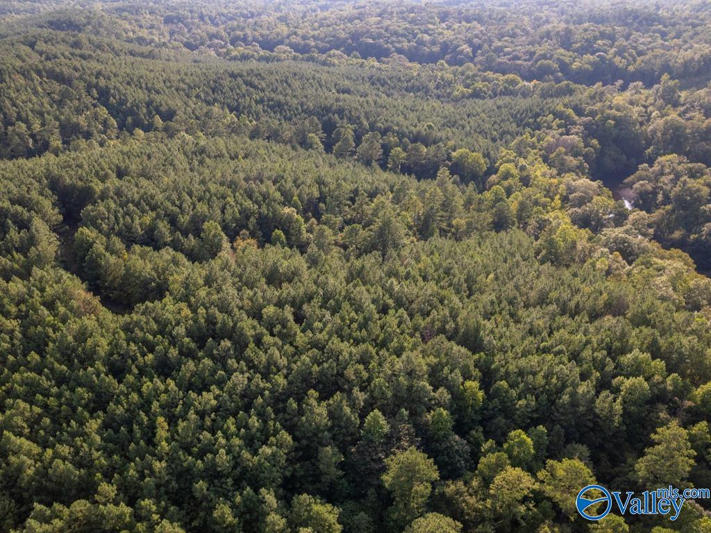 67 acres off County Road 22