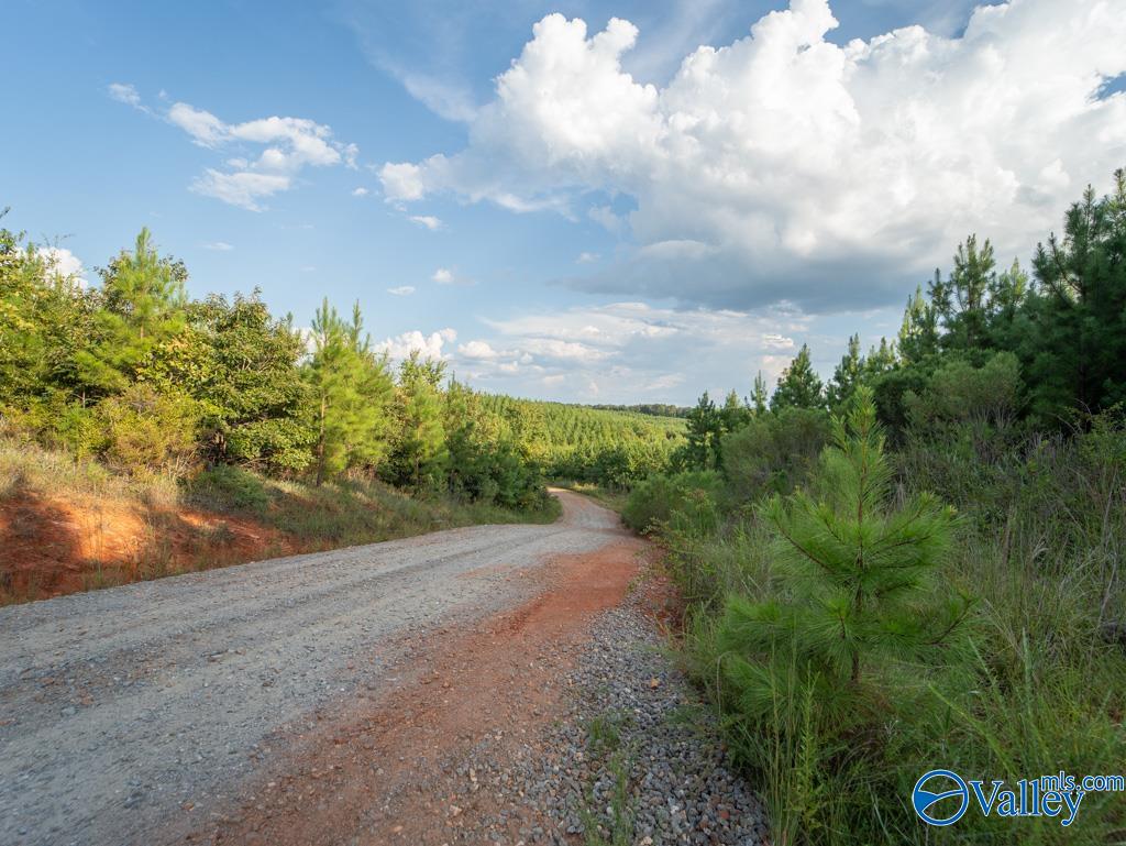 67 acres off County Road 22