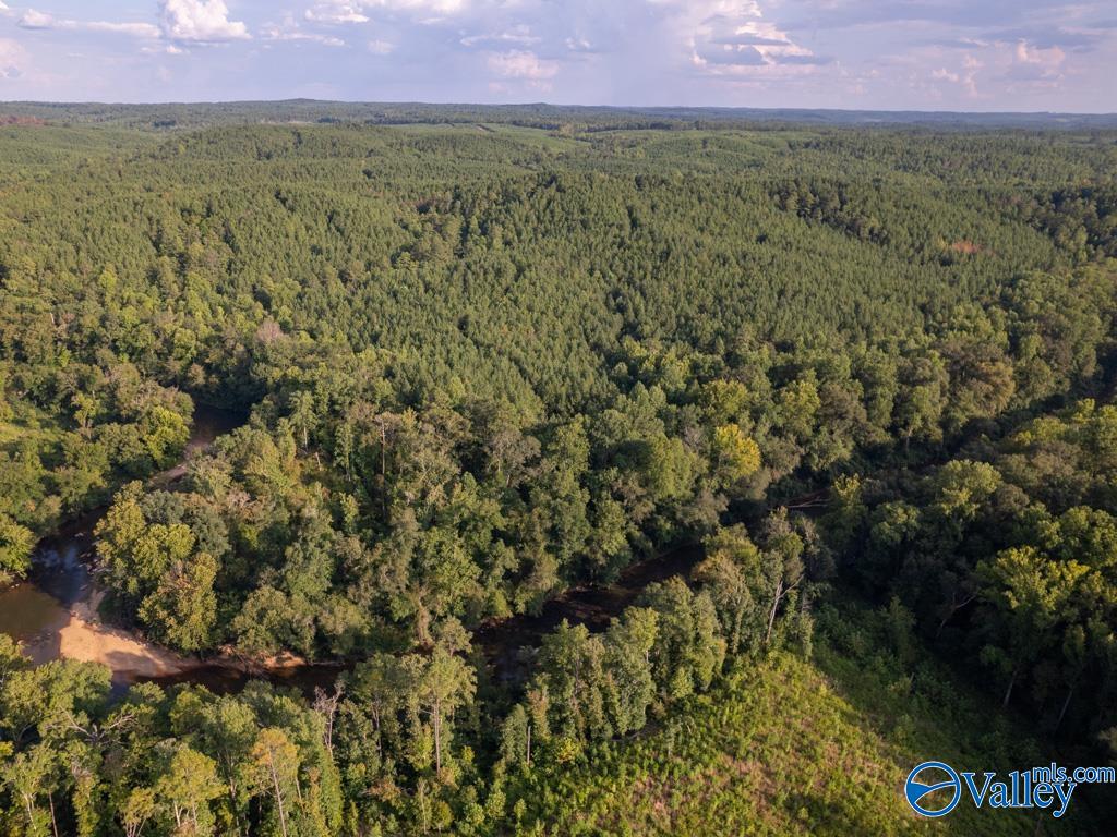 67 acres off County Road 22