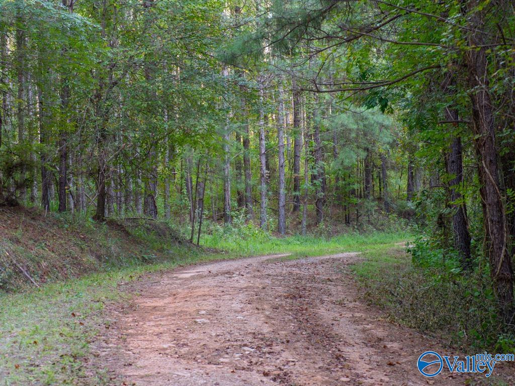 67 acres off County Road 22